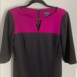 Tahari color block dress